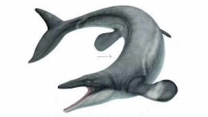 Ancient 24-foot ‘sea dragon’ Jormungander: Terrifying mosasaur that ruled oceans 80 million years ago