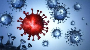 Bats and Pandemics: Unraveling the Link Between Viral Reservoirs and Global Health Threats