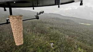 Fighting Fire with Fire: Hawaii Deploys Drones to Release Mosquitoes and Combat Avian Extinction