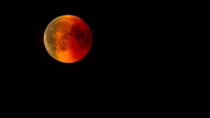 Lunar Eclipse 2025: Witness the 'Blood Moon' in India - Date, Time, and Viewing Guide
