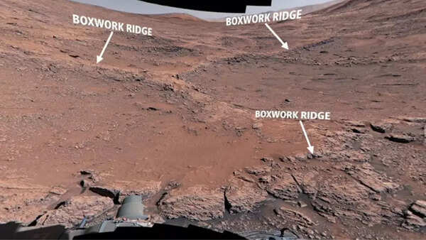 Curiosity rover captures a close-up view of boxwork formations on Mars.