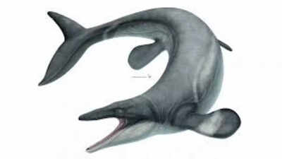 Ancient 24-foot ‘sea dragon’ Jormungander: Terrifying mosasaur that ruled oceans 80 million years ago